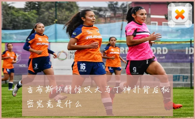 吉布斯怀特惊叹大马丁神扑背后秘密究竟是什么